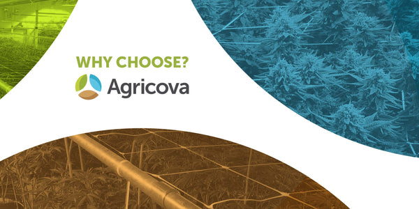 Why Choose Agricova?