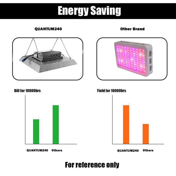 CastleGreens QUANTUM240 245W 100-277V LED Fixture