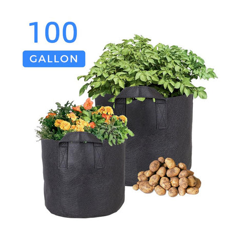 CastleGreens Premium Black 20 Gallon Fabric Grow Pot w/Handles