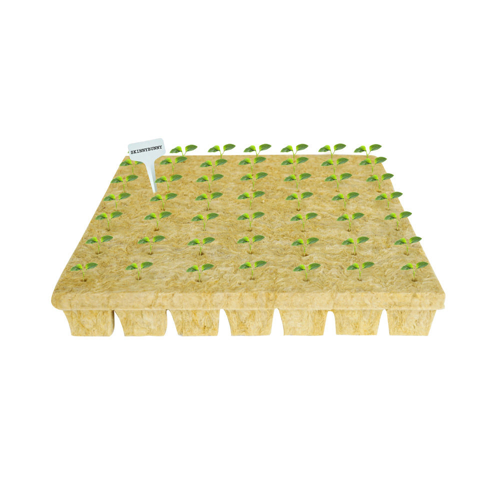 CastleGreens Grow Plug 1.5" x 1.5" (98/Sheet)