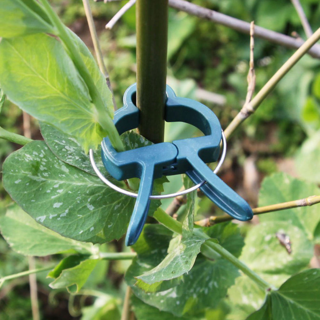 CastleGreens Plant Clip S (50/bag)