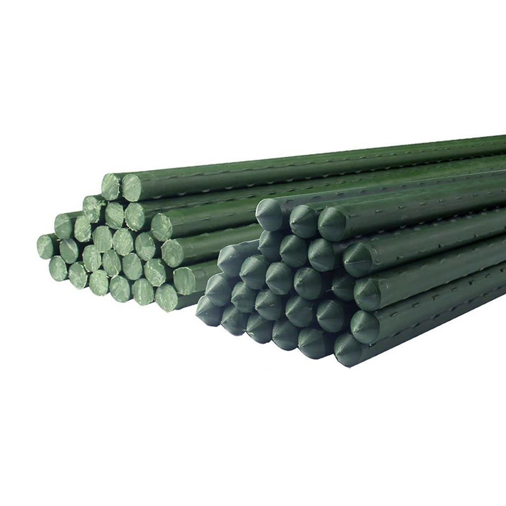 CastleGreens Steel Garden Stakes