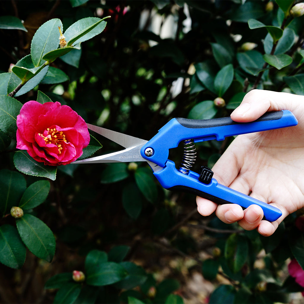 CastleGreens Pruner Titanium Straight Blade(Wholesale)