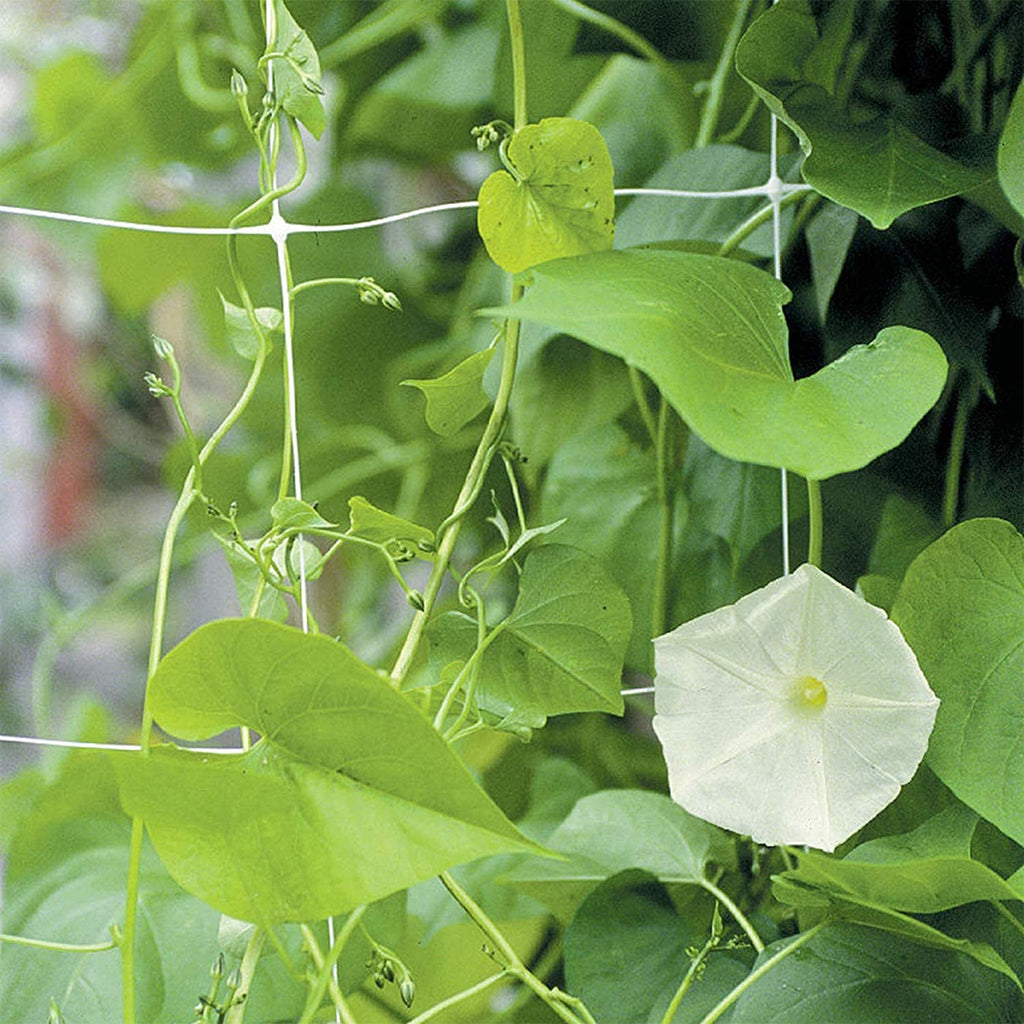 CastleGreens Trellis Netting