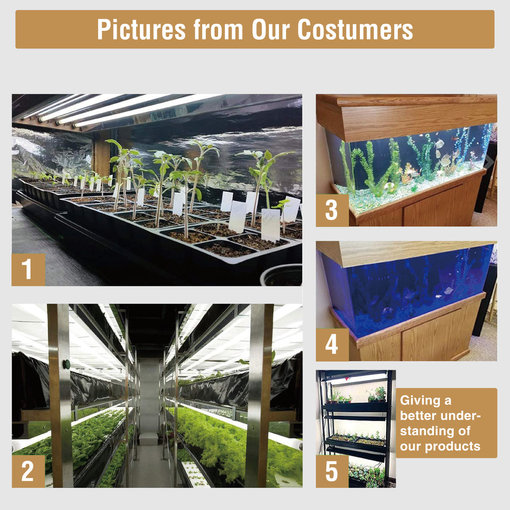 Nobel Commercial T5 4ft 54W HO Lamp 660 Pack of 5