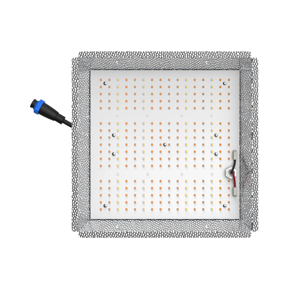CastleGreens QUANTUM100 105W 100-277V LED Fixture