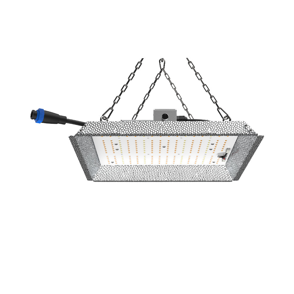 CastleGreens QUANTUM100 105W 100-277V LED Fixture