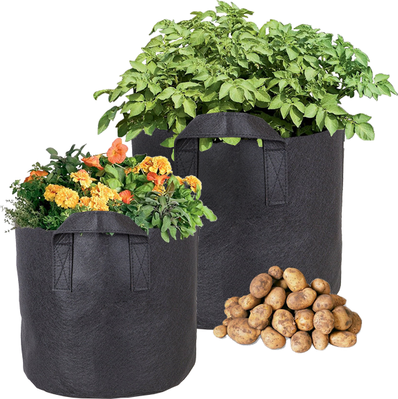 CastleGreens Premium Black 15 Gallon Fabric Grow Pot w/Handles