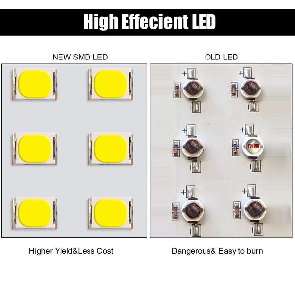CastleGreens QUANTUM240 245W 100-277V LED Fixture