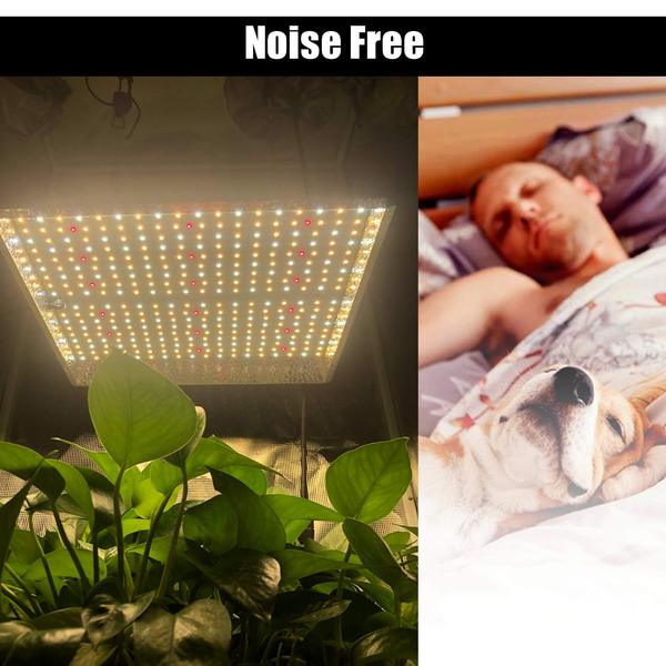 CastleGreens QUANTUM240 245W 100-277V LED Fixture