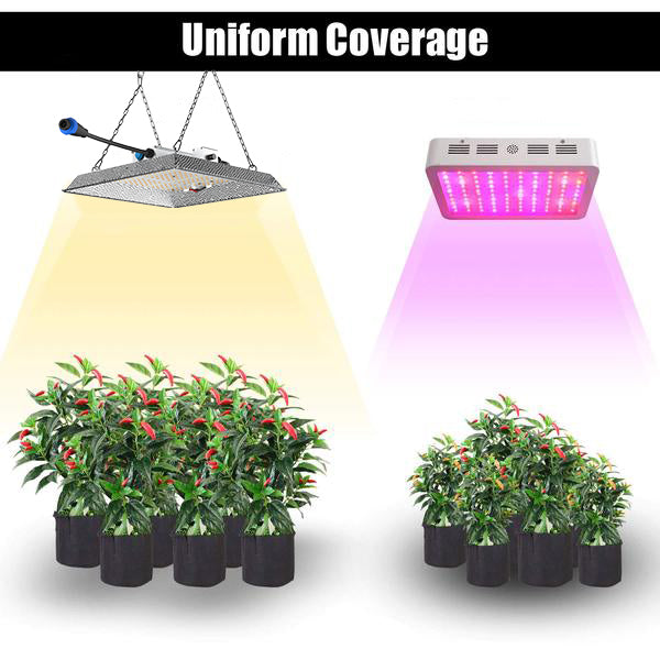 CastleGreens QUANTUM240 245W 100-277V LED Fixture