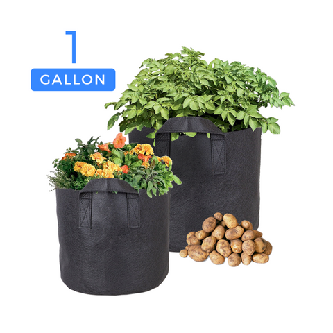 CastleGreens Premium Black 10 Gallon Fabric Grow Pot w/Handles
