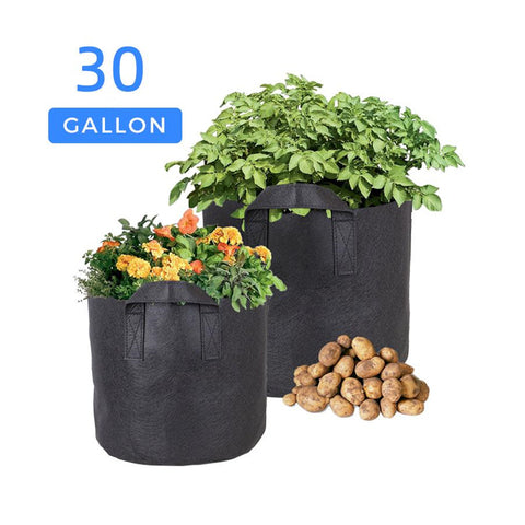 CastleGreens Eco Black 3 Gallon Fabric Grow Pot
