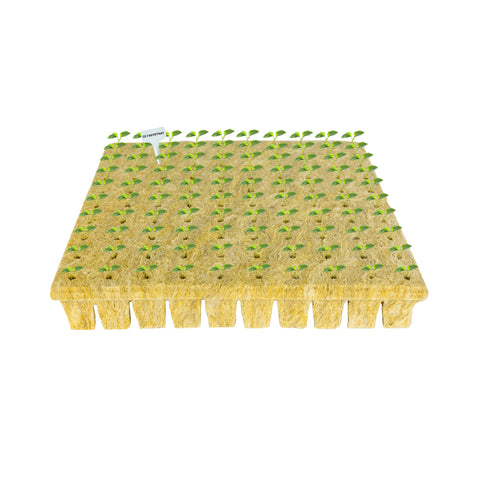 CastleGreens Seedling Heat Mat 10" x 20"(Wholesale)