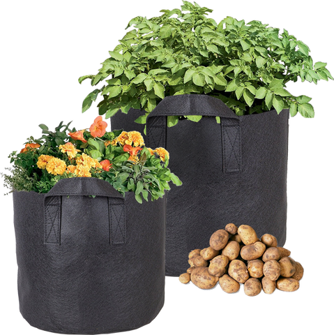 CastleGreens Premium Black 3 Gallon Fabric Grow Pot w/Handles