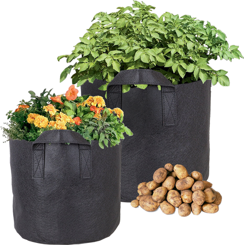 large black plant pots with handles CastleGreens Premium Black 1 Gallon Fabric Grow Pot w/Handles – Agricova