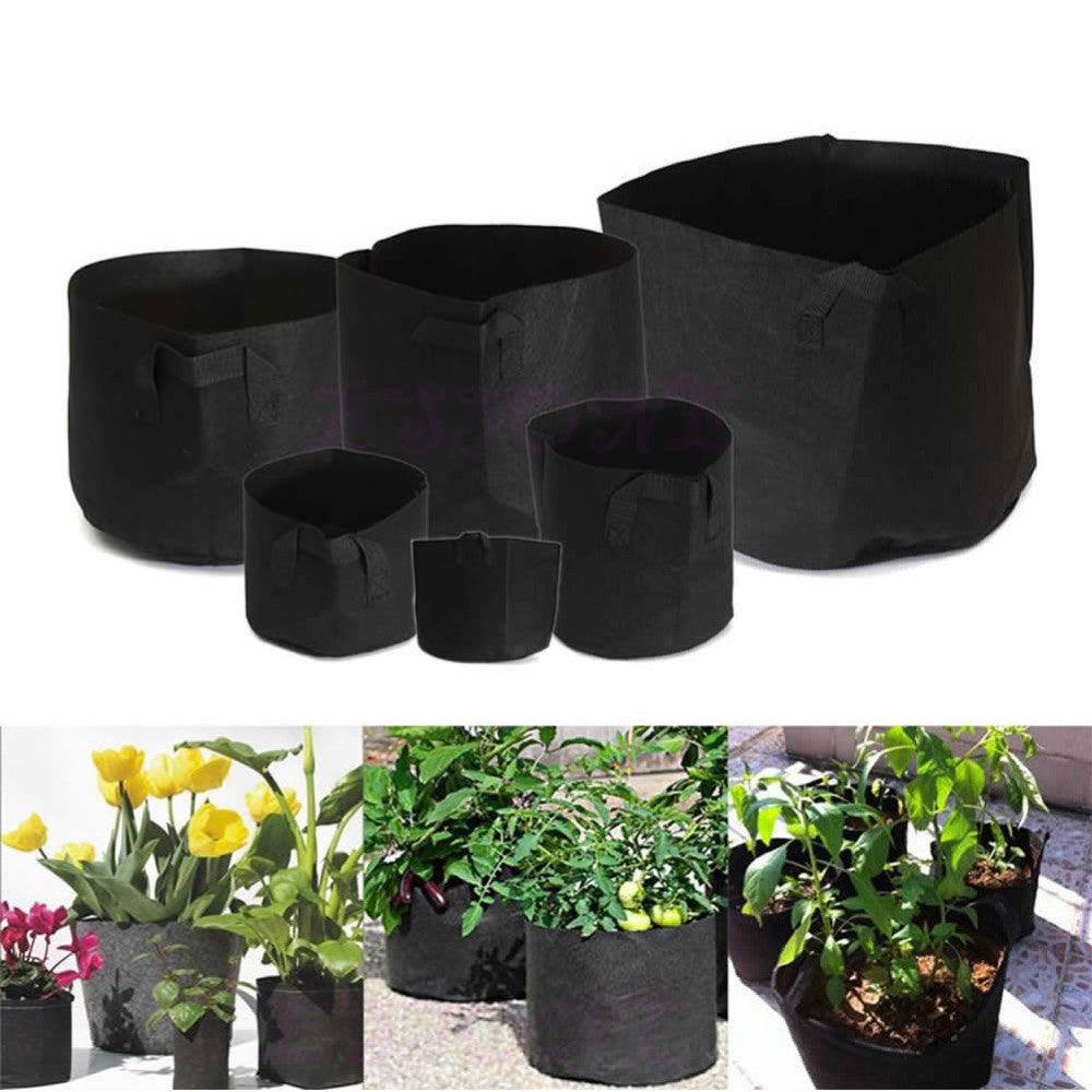 CastleGreens Premium Black 2 Gallon Fabric Grow Pot w/Handles